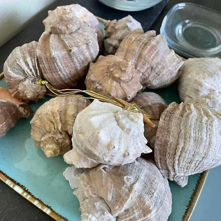 Gallery L * Sunny Beach