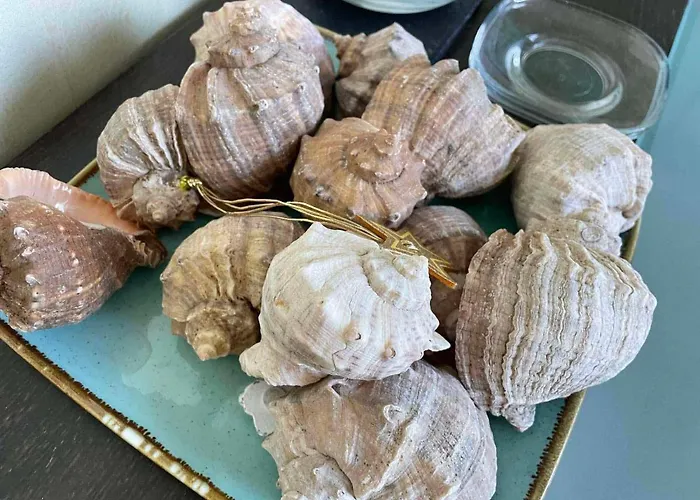 Gallery L * Σάνι Μπιτς